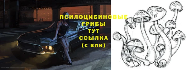 крисы Армянск