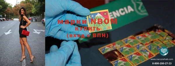 крисы Армянск