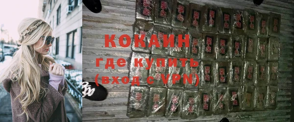 шишки Гусь-Хрустальный
