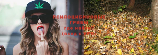крисы Армянск
