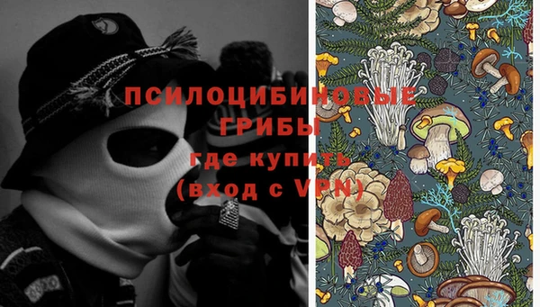 МДМА Арсеньев