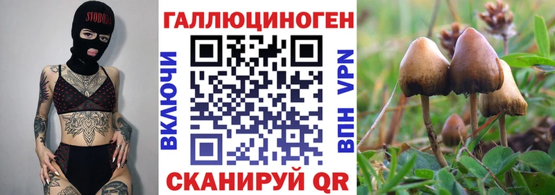 Псилоцибиновые грибы мицелий  Солнечногорск 
